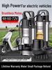 Brushless DC Submersible Water Pump for Electric Vehicles and Agricultural Irrigation