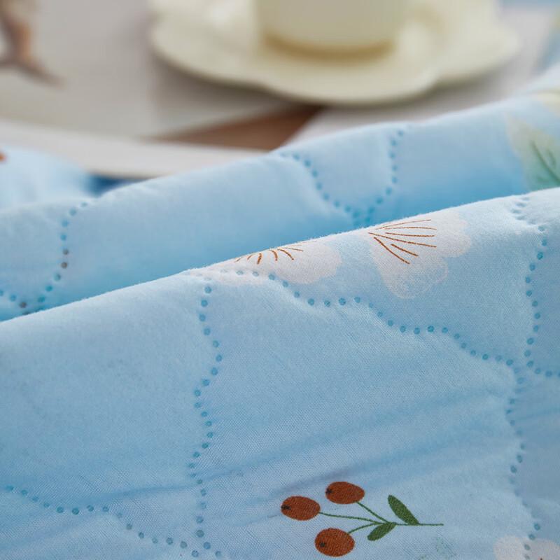 Biegaman Anti-mite Plant Fiber Summer Quilt