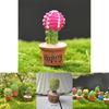 Delightful Mini Cactus Resin Ornament For Charming Fairy Garden Decor Craft