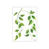 5 Vel Langdurige Groene Blad Tijdelijke Tatoeages Waterdichte Make-up Stickers Body Art
