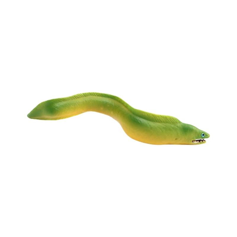 

Creature Marine Fish Figure Realistic Design Eel Model Figurine for Classroom Biology Learning and Education Display