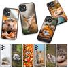 Phone Cover Hedgehog Fox Coque for Samsung Galaxy S25 S24 S22 S23 FE Ultra Plus A56 A05 A06 A15 A16 A55 S7 Edge Case