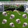 Halloween Skull Statue Human Bones Skull Models Realistic Faux Human Anatomy Table Top Skeleton Heads for Home Decors