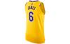 Nike Nba L.A. Lakers LeBron James Icon Edition Authentic Jersey DB3317-730