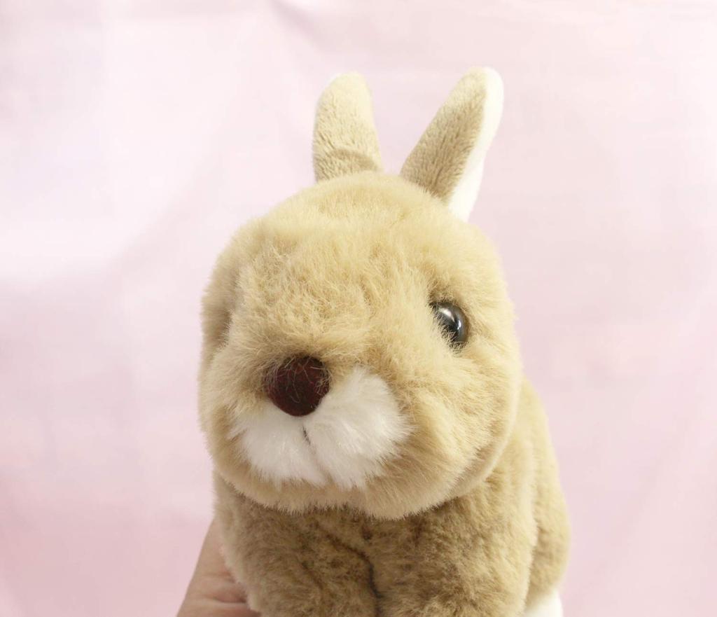 Coelho Decolagem Maron Rex Marrom