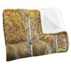 Wild Wings When Color Is King 2 Silky Supersoft Blanket