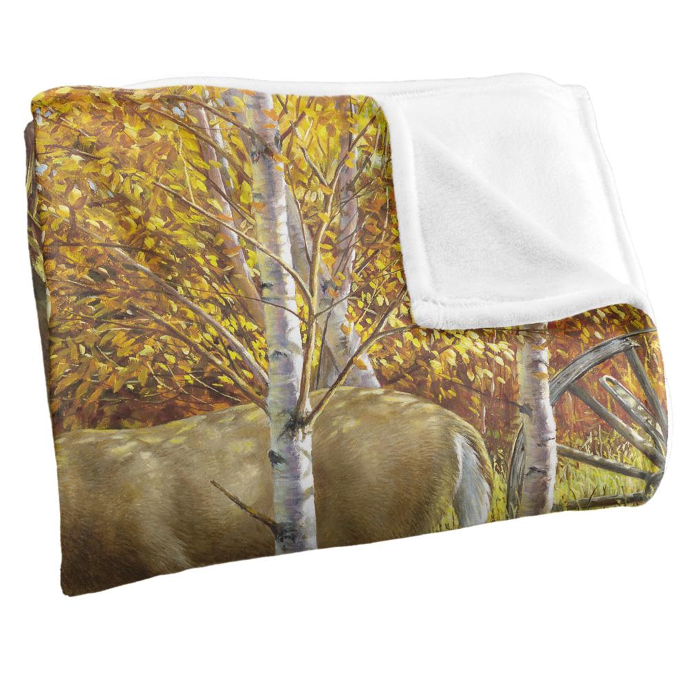 Wild Wings When Color Is King 2 Silky Supersoft Blanket