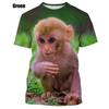 Little Monkey Bedrucktes Herren Freizeit Kurzarm T-Shirt Herren T-Shirt