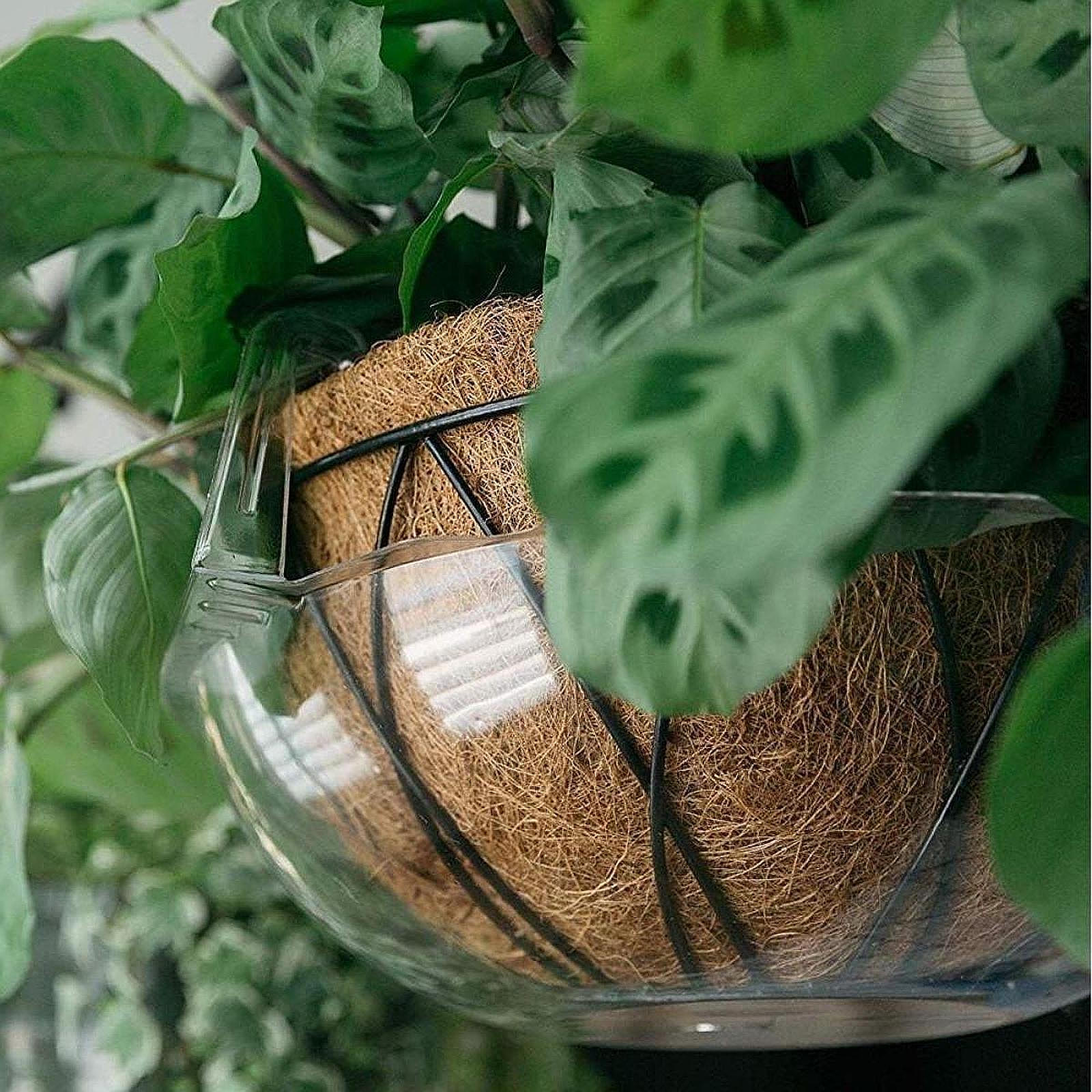 

5Pcs Hanging Flower Pot Tray with Hook Indoor for Water Drainage Gardening Heavy Duty Basket Planter