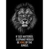 DIY 5D Diamond Painting Ruthless Lion Diamond Mosaic Cross Stitch Kits Home Decoration Full Round Diamond Embroidery