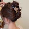 Hair Accessories Hair Clip Jelly Color Shark Clip Gentle Love Heart Hairpin  Women