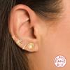 925 Sterling Silver Geometric Dripping Oil Panda Bamboo Shoots Carrot Rabbit Spiral Small Gold Ball Perforated Cartilage Puncture Stud Earrings