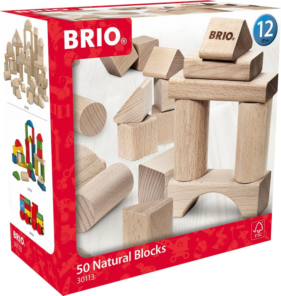BRIO 50-piece Building Block Set 30113