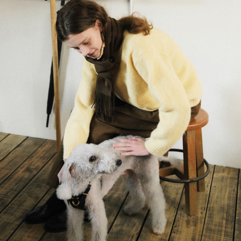 LeniL Ricos Winter Basic Muffler (5color)