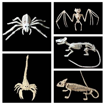 Artículos de fiesta – Accesorios de Halloween