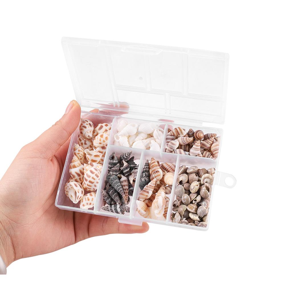 100pcsbox Natural About Mix Sea Shells Mini Conch Corn Screw Material Natural Craft For Jewelry Making Accessories Findings
