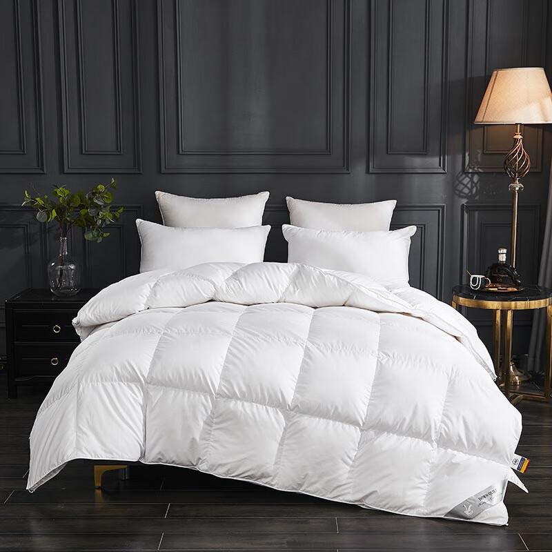 

LangSha Premium Winter Comforter