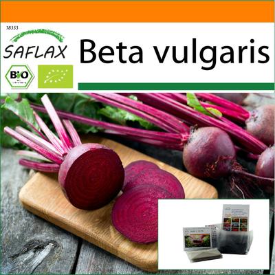 Garden in the Bag - Bio - Rote Bete - Detroit Globe - 100 Samen - Mit Substrat im passenden Standbeutel - Beta vulgaris