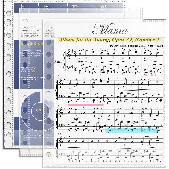 Плотные кармашки для нот - 20 шт. Кармашки для хорового папки-регистратора, 8,5x11 Защитные кармашки для листов