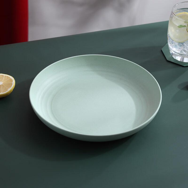 ZISIZ Disposable Round Plastic Plate