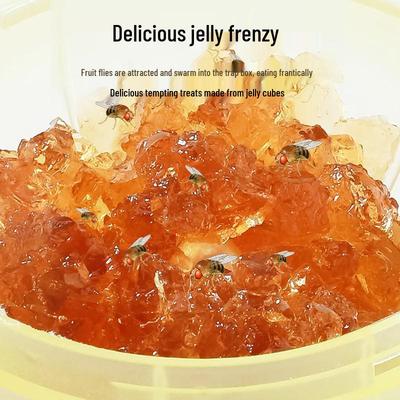 Strong Fly Killer: Indoor Fruit Fly and Mosquito Control for Kitchens and Fruit Stores