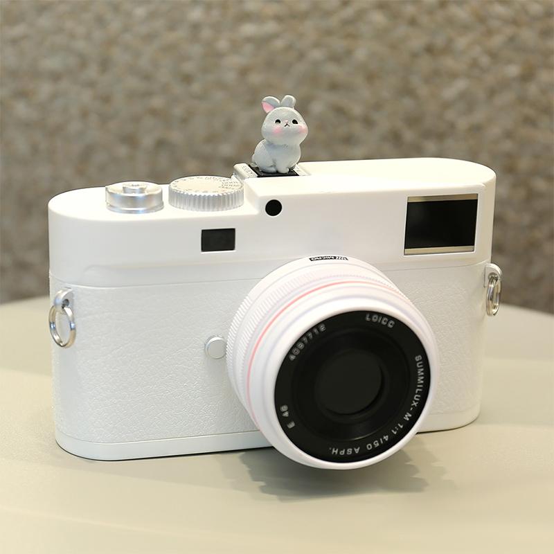 

Cartoon Creative Shoe Protection Cover Slr Camera Shoe Cap Dustproof Cute Cartoon Photography
