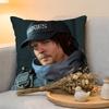 Cushion Cover  Linen  SkinFriendly Soft Decorative Case For Sofa Home Decor Hot Game DDeath Stranding Pillow cover