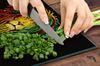 PLAQUE DE PROTECTION EN VERRE POUR PLAQUE DE CUISSON 70x52 LION