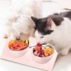 Cat Bowls 2 In 1, Cat Bowls For Food And Water, 15°Bowl Cat Vomiting Bowl For Dogs, Insurance, Trab Prevention, Removable Pet Bowl