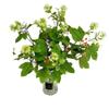 Plastic Bee Leaf Table Decor With Faux Flowers For Home Living Room And Wedding Events