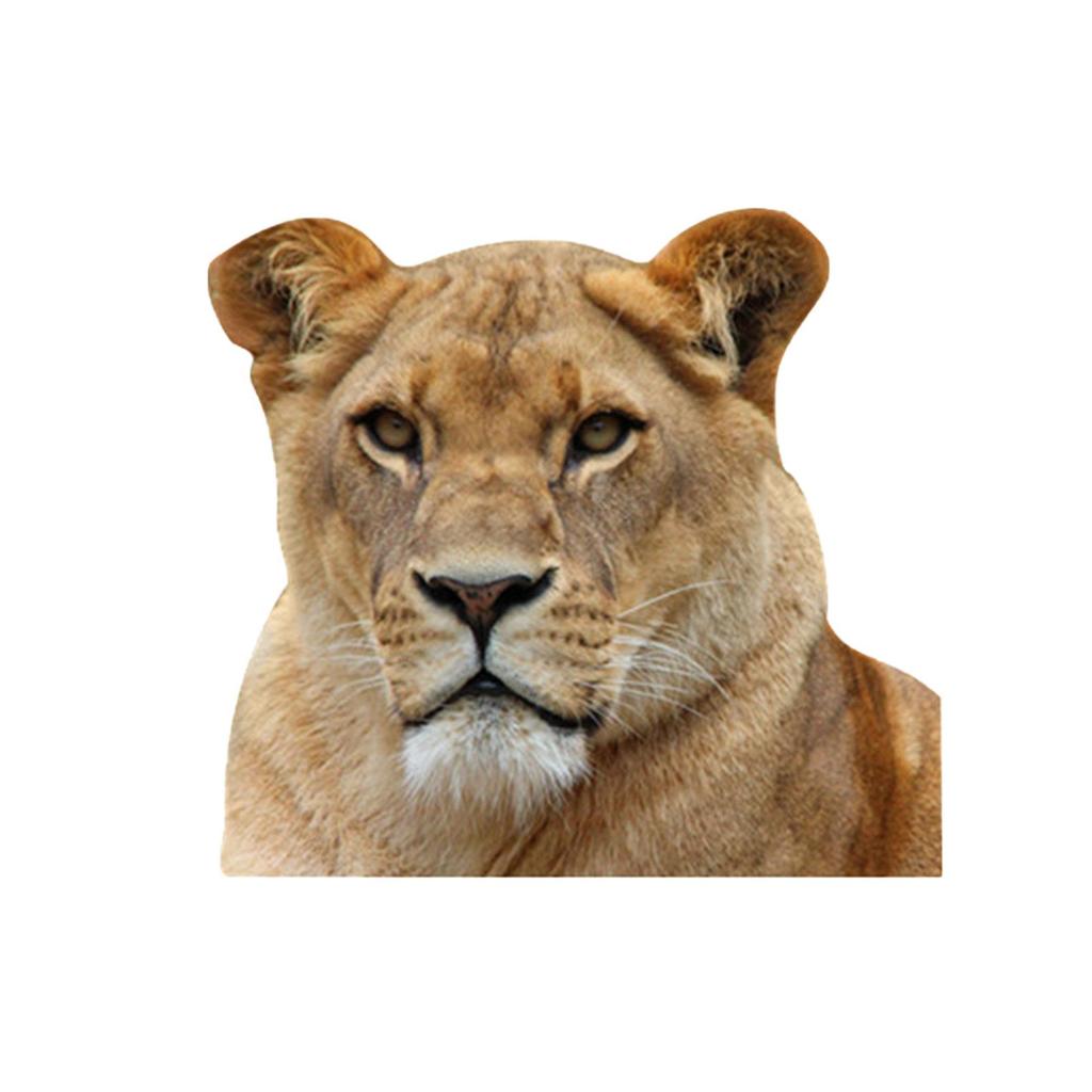 Car Window Glass Stickers Animal Series Vehicle Decal