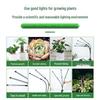 3-Head Dimmable LED Grow Light with Timer for Succulents & Herbs