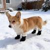 Warm Waterproof Suede Dog Snow Boots Anti Skid Paw Protectors Puppy Cat Winter Shoes for Small Dogs Chihuahua Teddy Pet