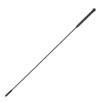 21.5" Roof AM/FM Antenna for Ford Focus 2000-2007 98BZ18A886AA-CR198