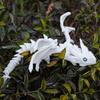 Winged Dragon Figurine 3d Printed With Movable Joints Adjustable Posture Flying Dragon Collectible Model Home Office Desktop