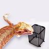 Prevention Lamp Shade Stainless Steel Anti Screen for Reptile Pets