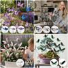 12PCS 3D Butterfly Butterfly Lawn Ornament Multicolor Decorative Stakes for Flower Pots