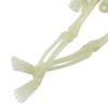 Glowing In The Dark Halloween Skeleton Decor Luminous Lifelike Skeleton Model for Front Lawn