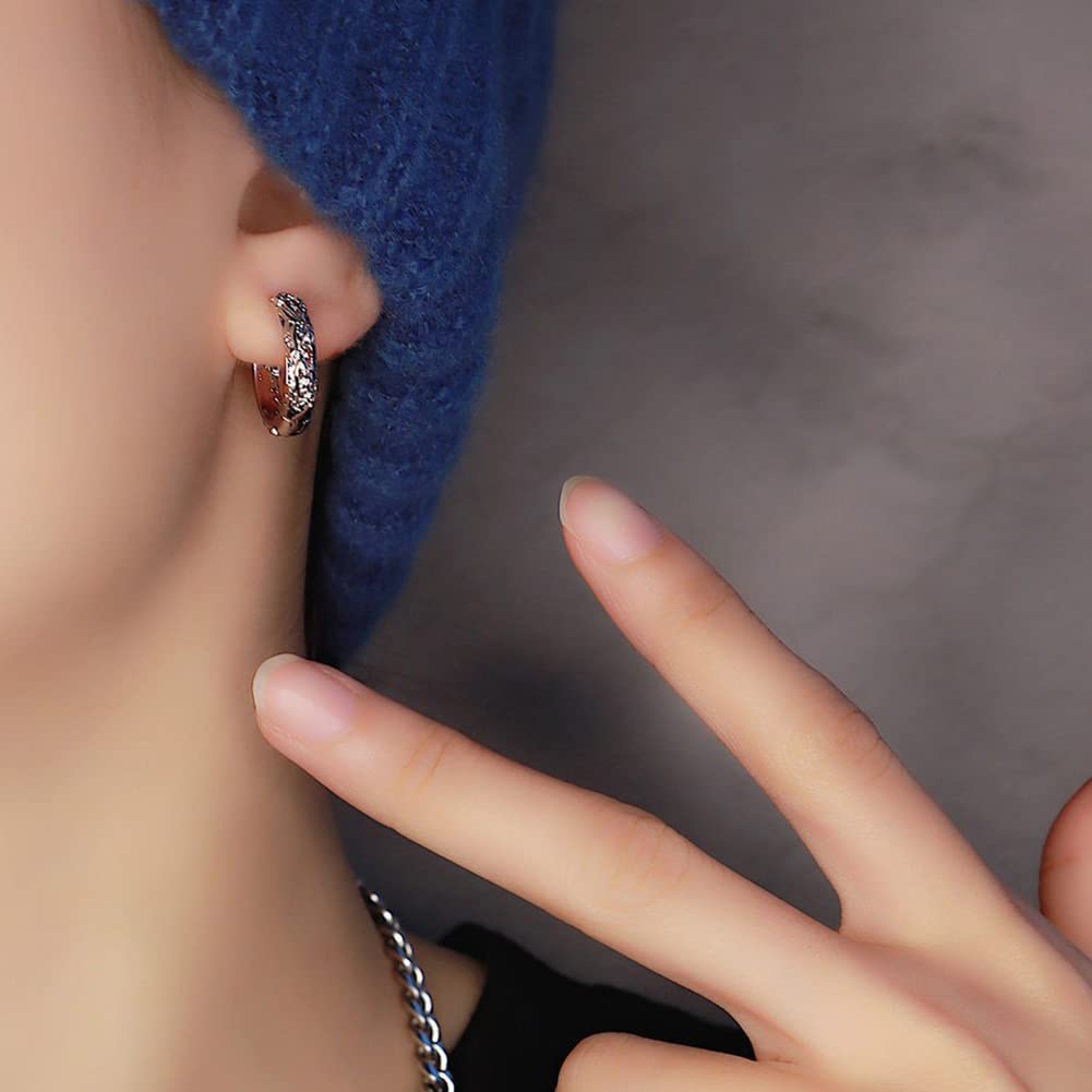 Rockyu Hoop Earrings for Black Chinese Style Dragon 925 Accessories Men, Ring, Earrings, Pixiu, Silver, Hypoallergenic, Birthday, Anniversary, Party,