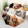 Cats Circle Portable Automatic Umbrella Folding Umbrella with 8 Ribs Lightweight All-Season Use Stylish Accessory Perfect Gift for Friends & Family