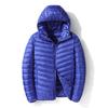 Men's Gray Lightweight Short Down Jacket - 2024 Autumn/Winter Trendy Casual Style