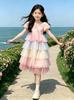Girls' Gradient Mesh Cake Skirt - Summer 2026