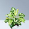Artificial Driftwood Twigs Branch Aquarium Plastic Plant Fish for Tank Hide Leaves Ornament Non Toxic Safe for All Fish