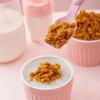 Golden Fragrance Nutritious Children's Pork Floss 108g