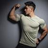 Men's Quick-Dry Short Sleeve Stretch T-Shirt for Gym and Running