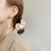 Simple Exaggerated Large Circle Hoop Earrings for Women Personality Trendy Plain Ring Earrings Jewelry Multiple Sizes Available
