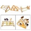 Bird Stand Tabletop,Portable Tee Stand, Parrot Play Perch Gym for Small Medium