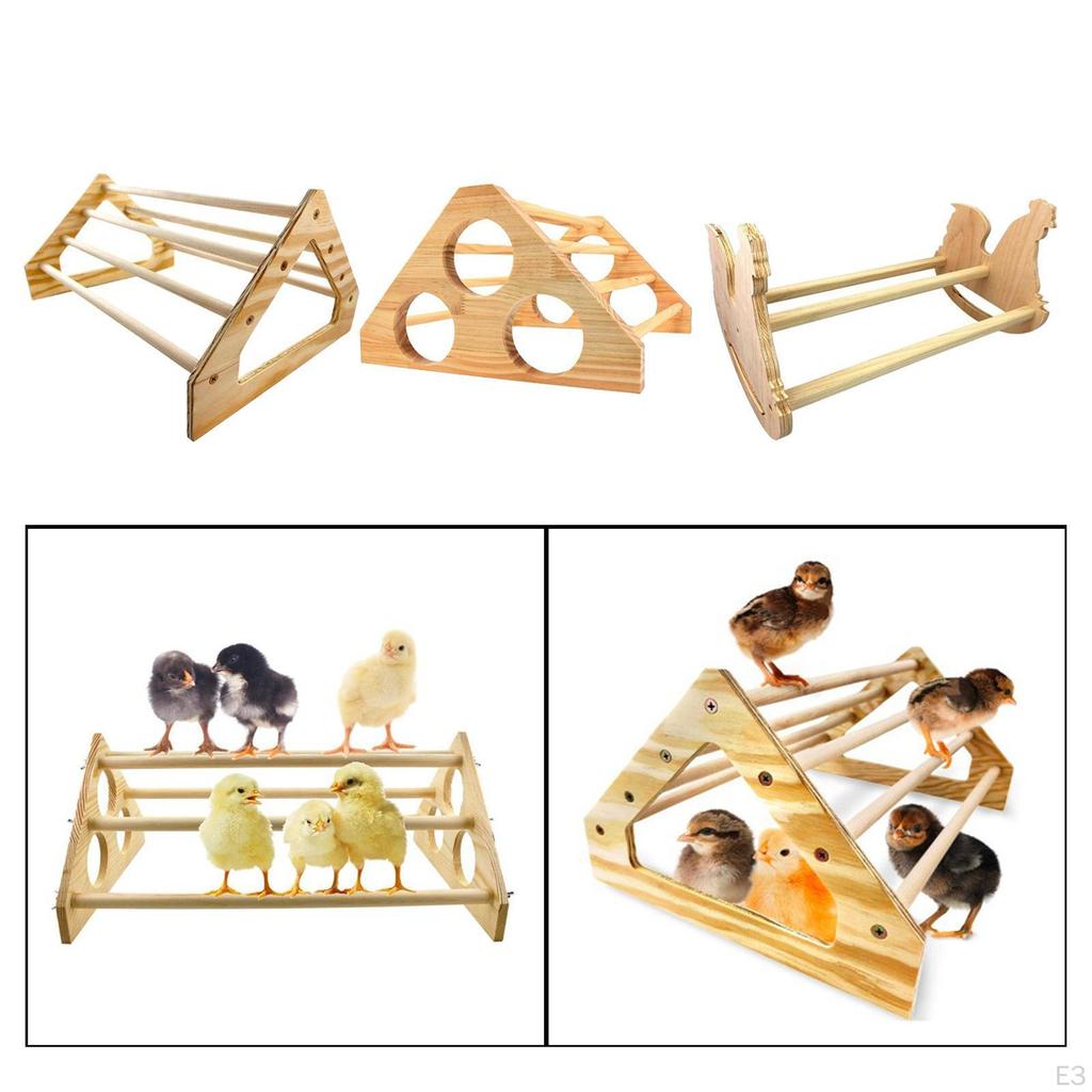 Bird Stand Tabletop,Portable Tee Stand, Parrot Play Perch Gym for Small Medium