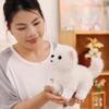 Cute Realistic Pomeranian Plush Toy - Small Comfort Doll for Girls & Children
