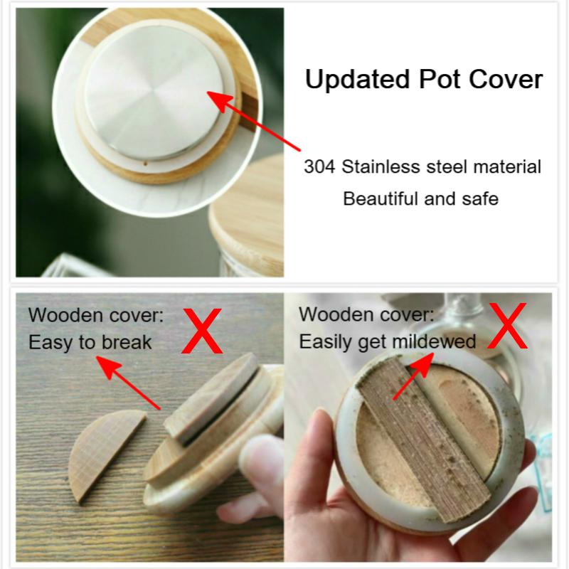 Ceainice de sticlă cu căpșuni, stil japonez de 1,8 l, pentru băuturi reci și calde, set de ceainice pentru acasă și birou